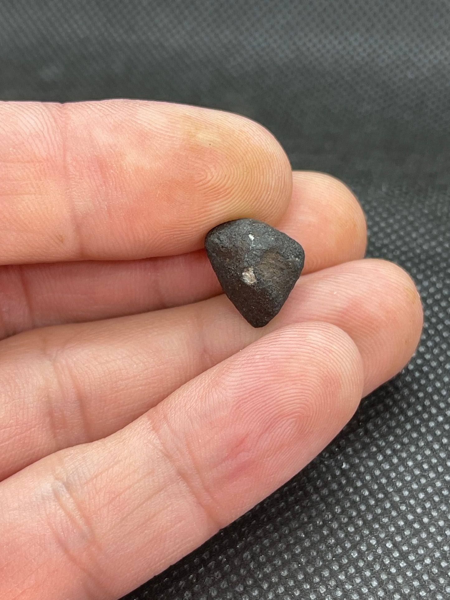 Witnessed Fall: Oued Sfayat