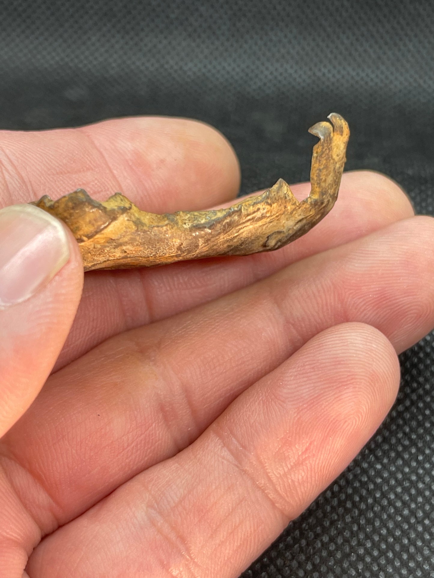 Iron Meteorite: Gebel Kamil