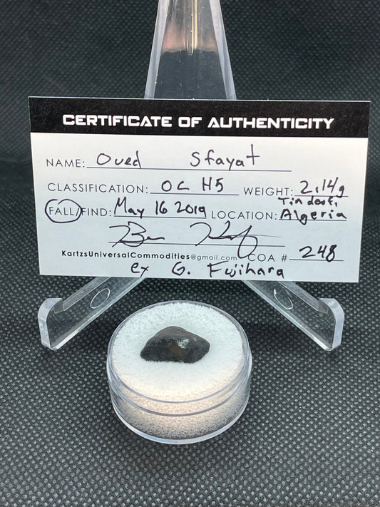 Witnessed Fall: Oued Sfayat