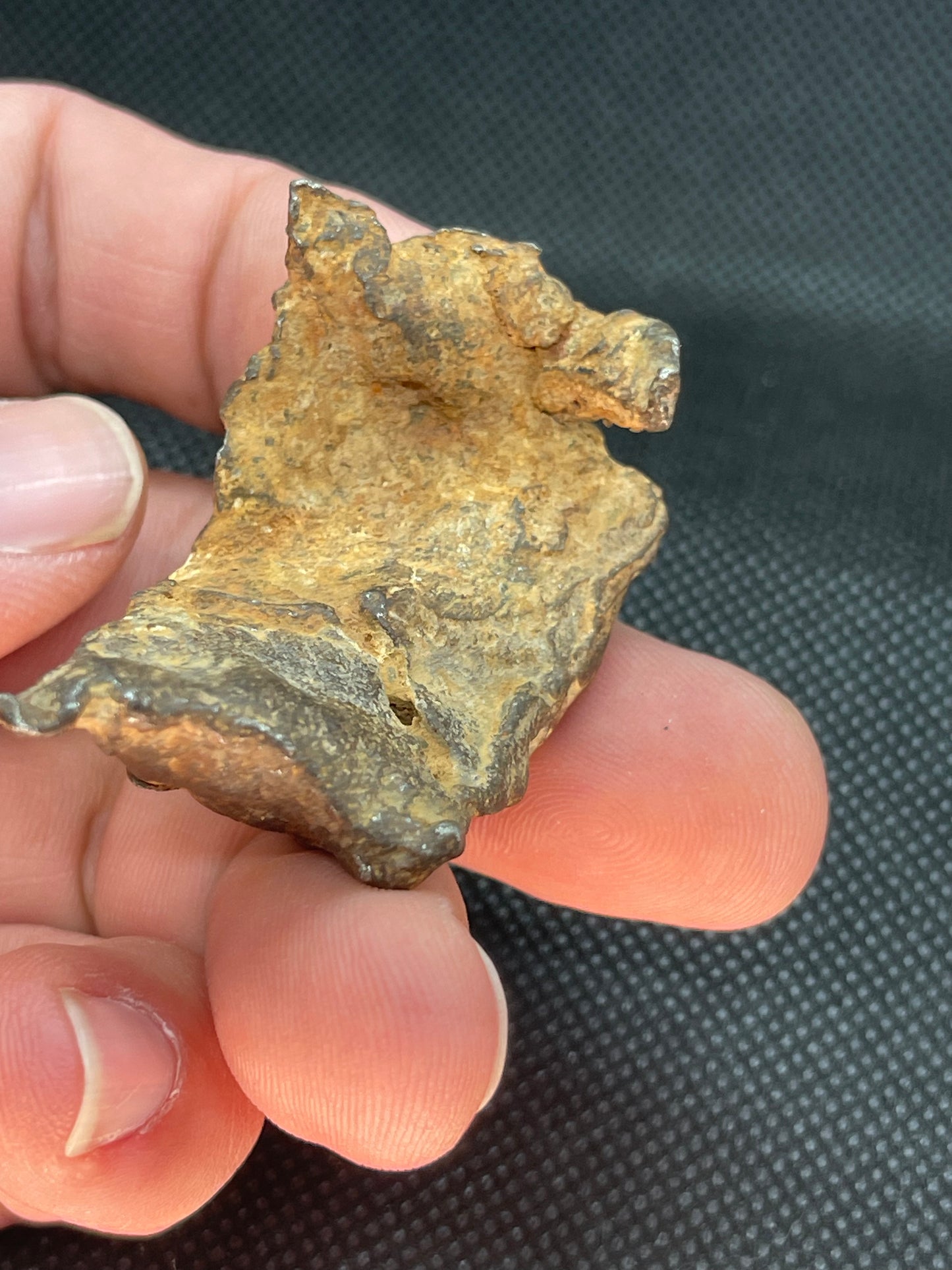 Iron Meteorite: Gebel Kamil