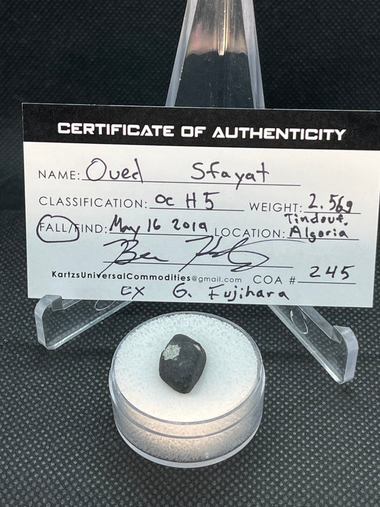 Witnessed Fall: Oued Sfayat