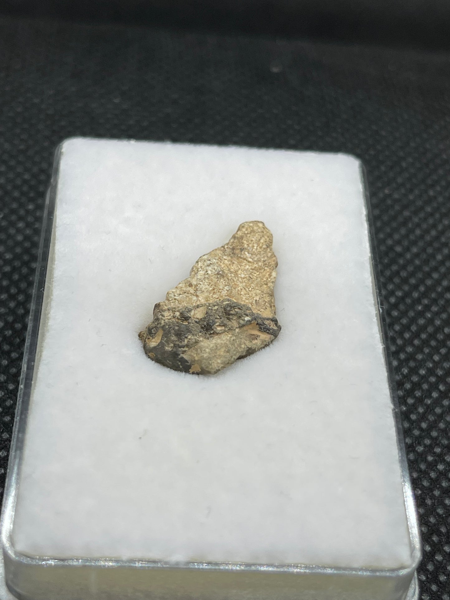 Lunar Meteorite