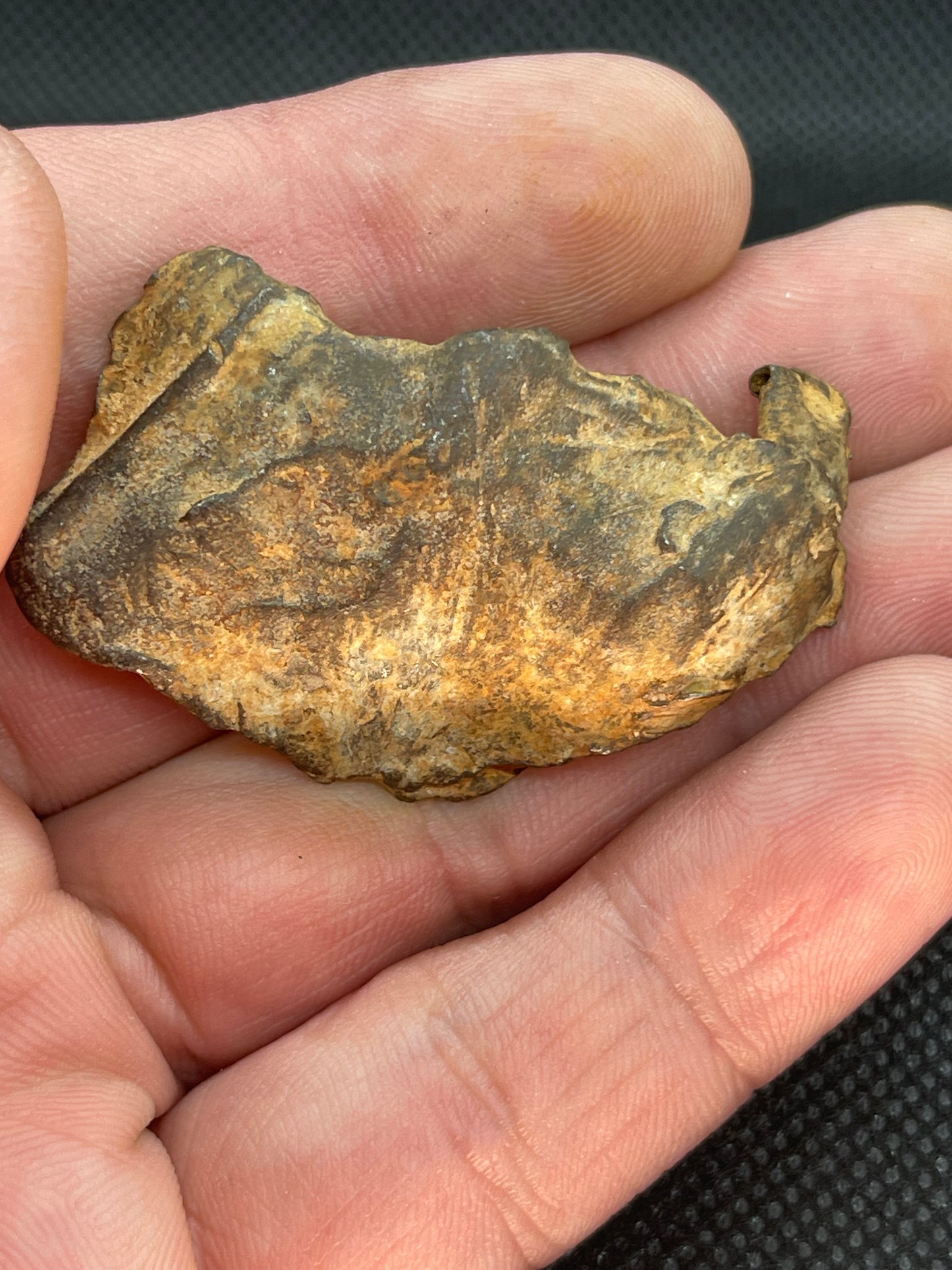 Iron Meteorite: Gebel Kamil