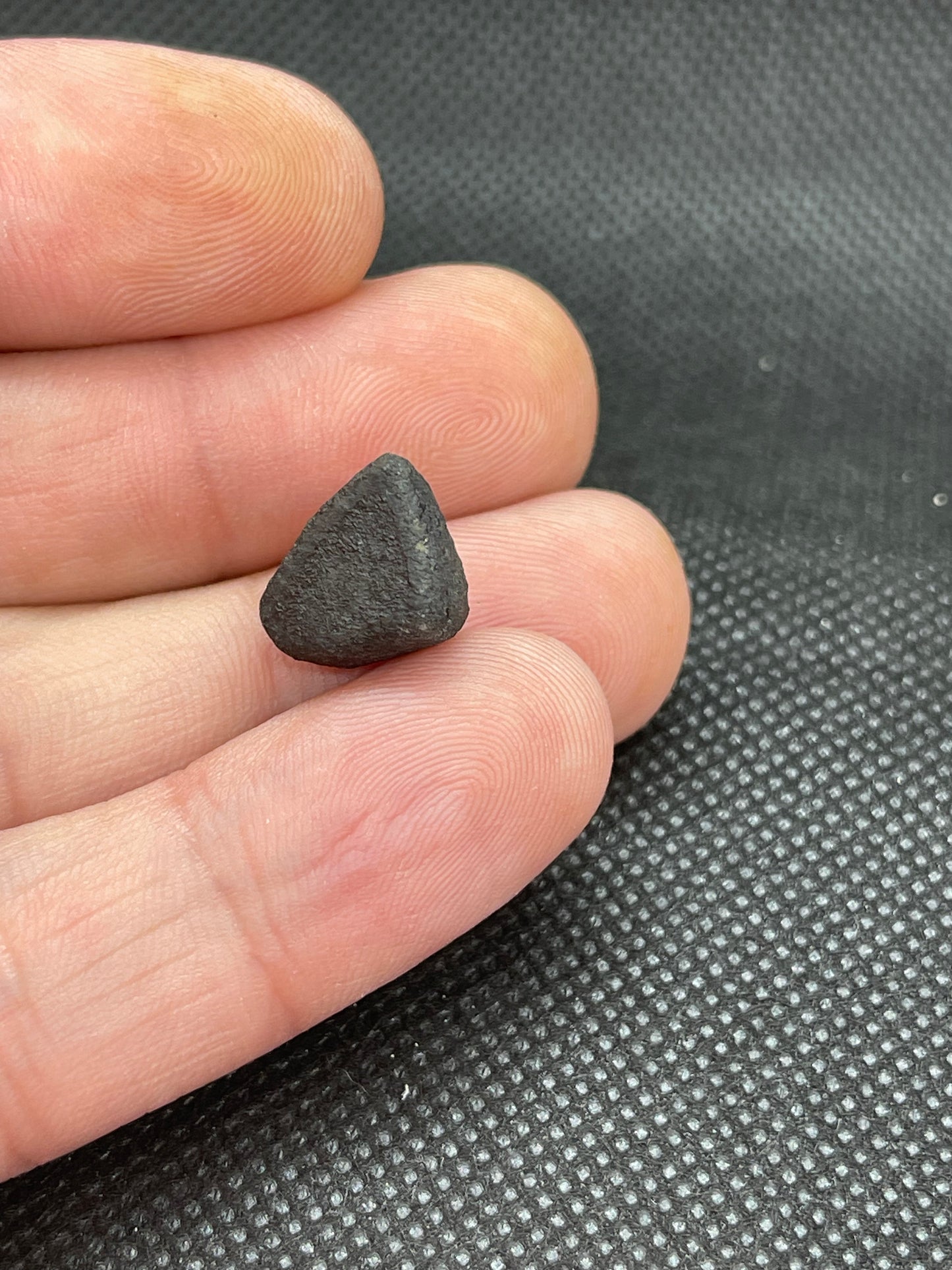 Witnessed Fall: Oued Sfayat