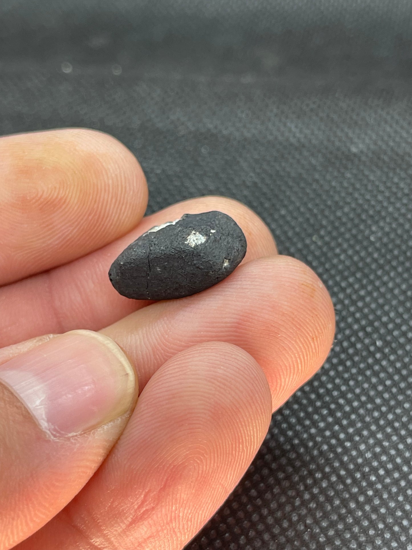 Witnessed Fall: Oued Sfayat