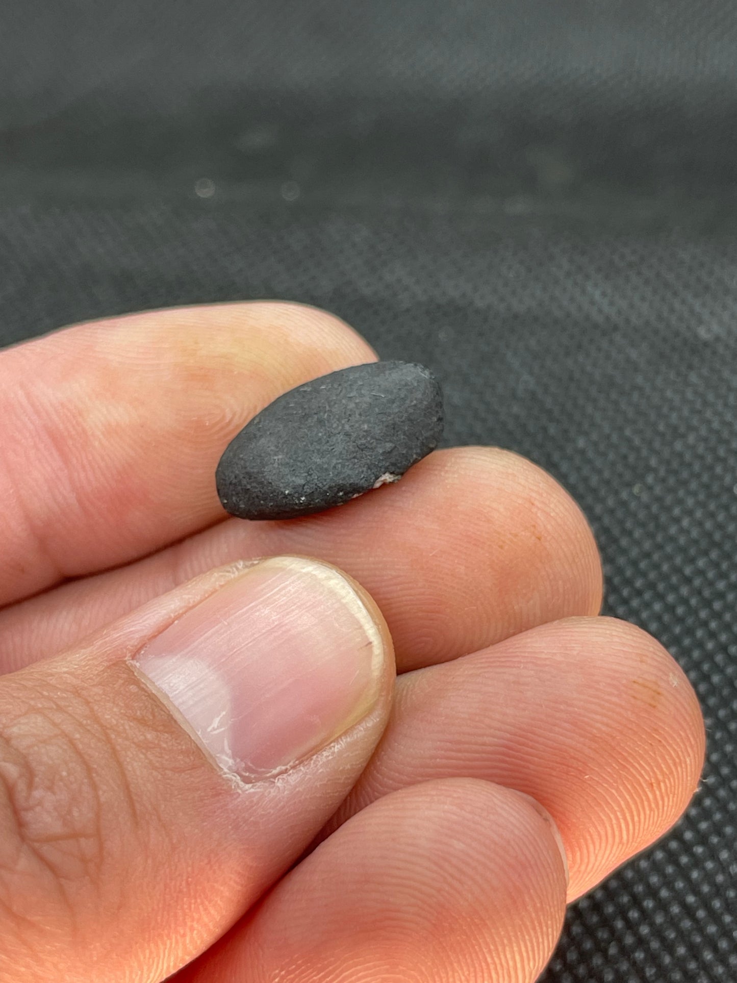 Witnessed Fall: Oued Sfayat