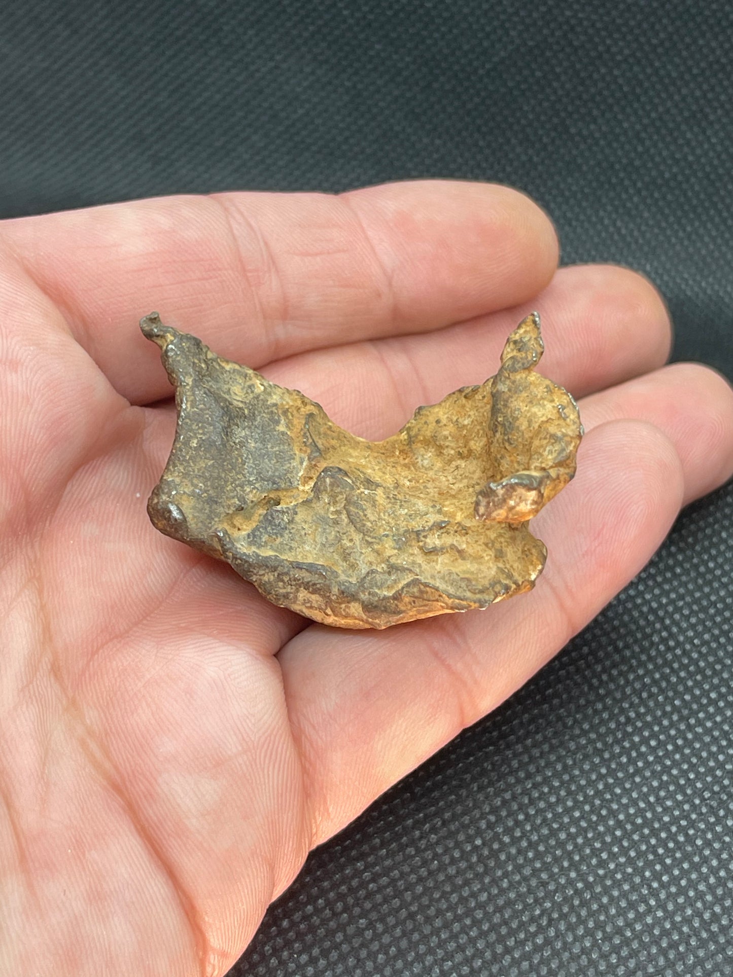 Iron Meteorite: Gebel Kamil