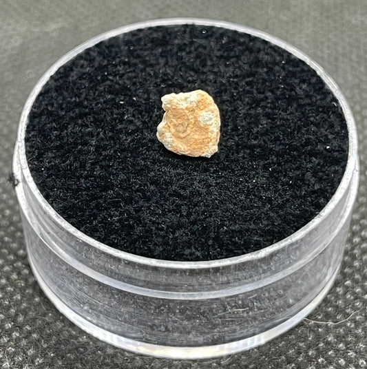 Lunar Meteorite