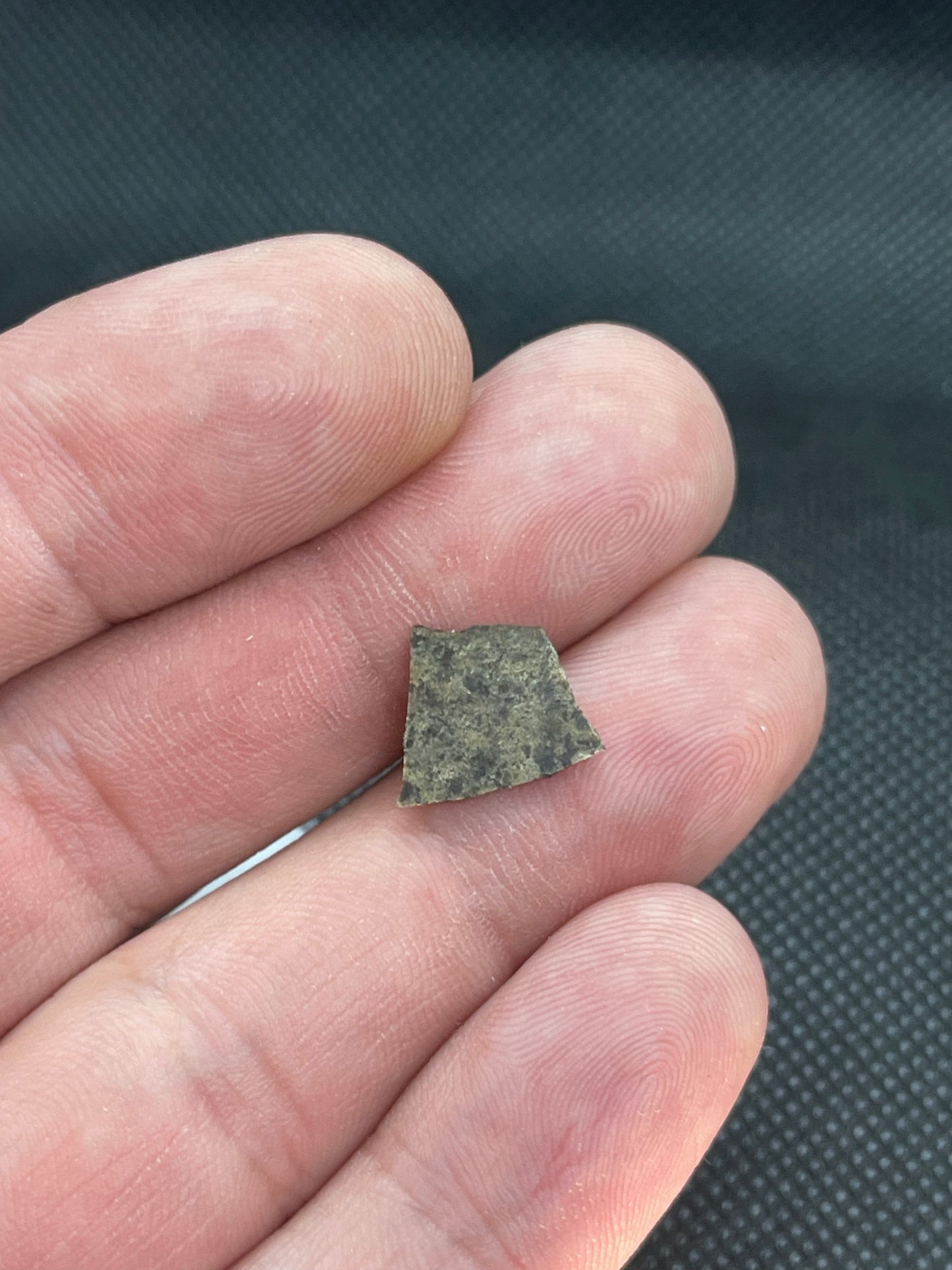 Martian Meteorite
