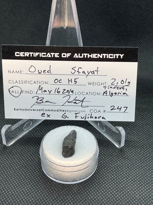 Witnessed Fall: Oued Sfayat