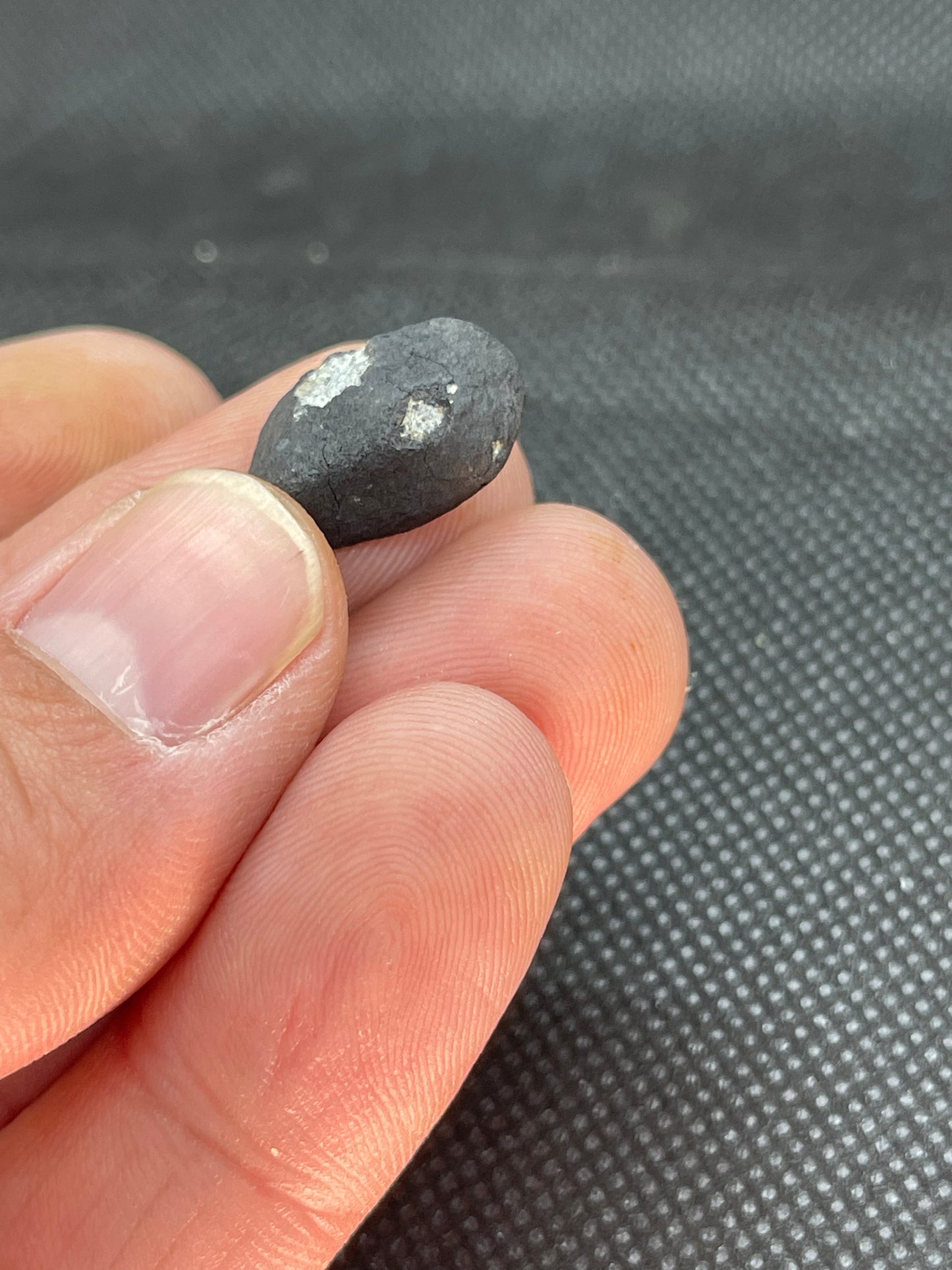 Witnessed Fall: Oued Sfayat