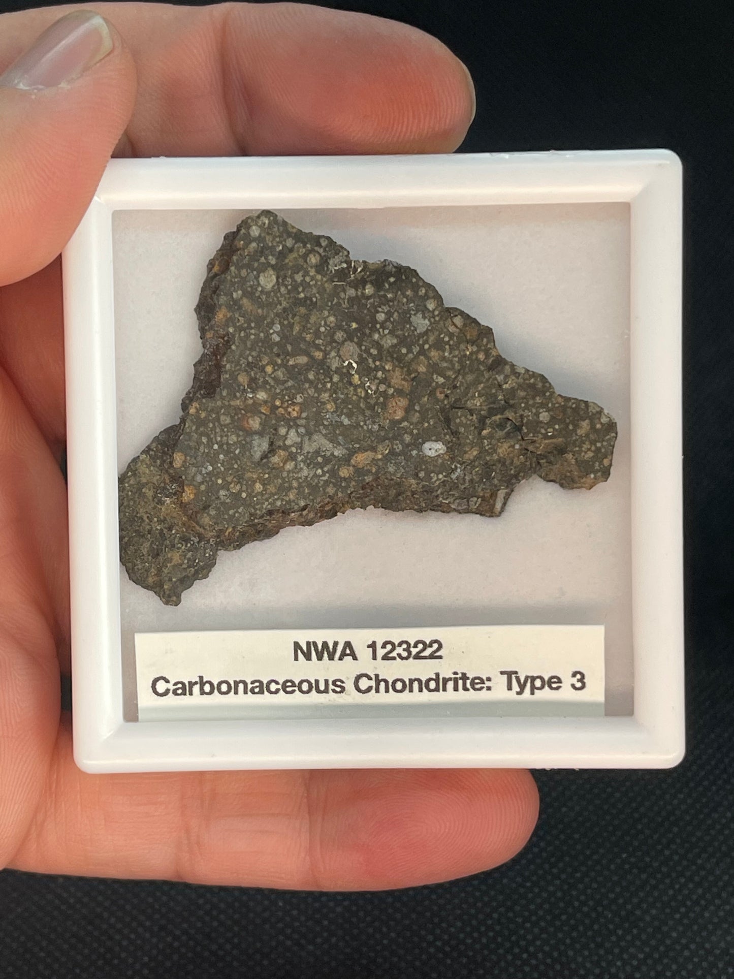 Carbonaceous Chondrite Type 3