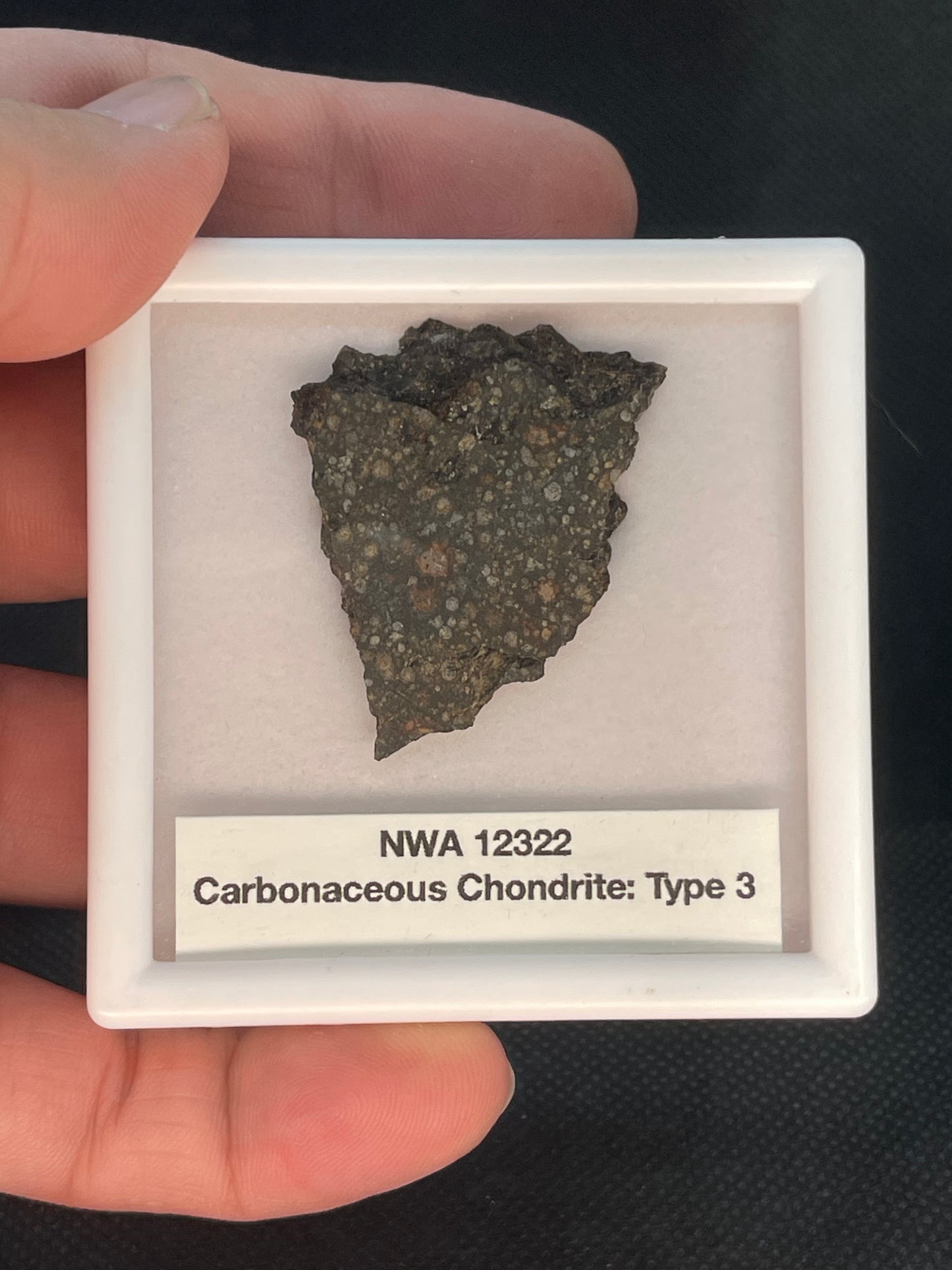 Carbonaceous Chondrite Type 3