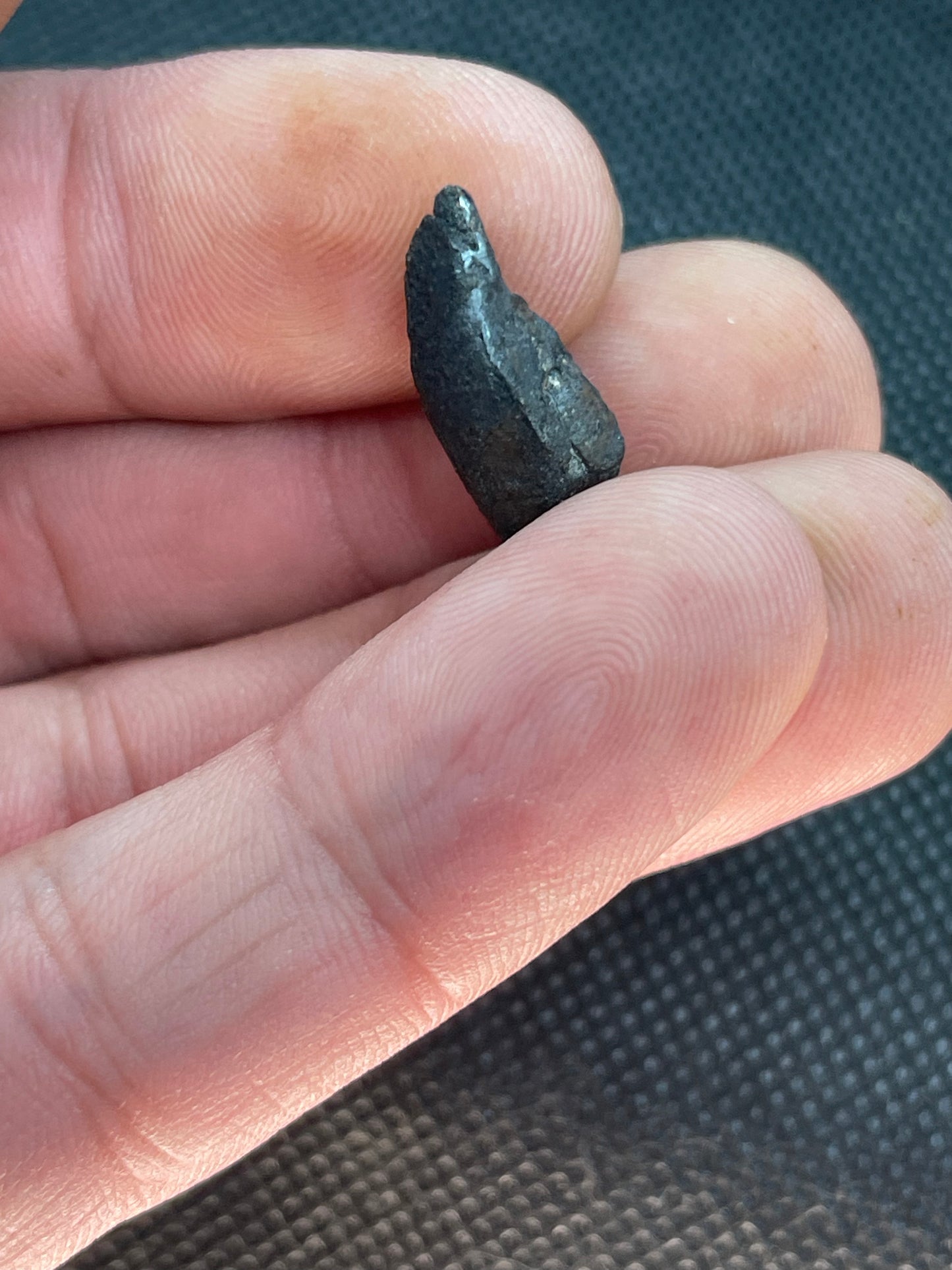 Witnessed Fall: Oued Sfayat