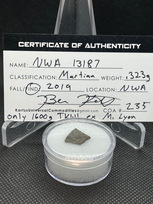 Martian Meteorite