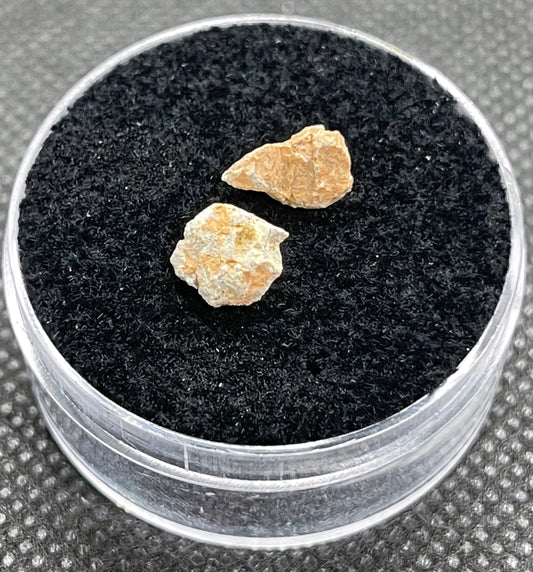 Lunar Meteorite