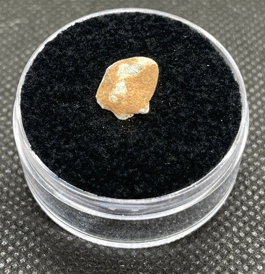 Lunar Meteorite