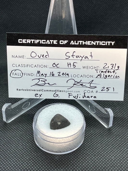 Witnessed Fall: Oued Sfayat