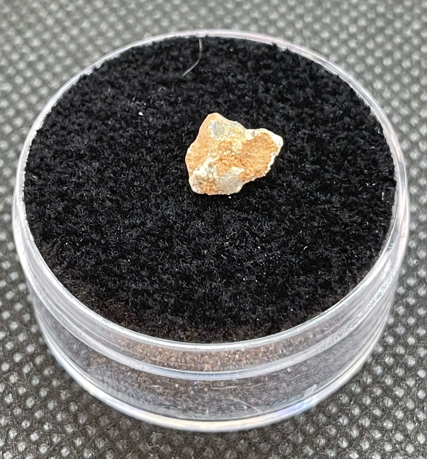 Lunar Meteorite