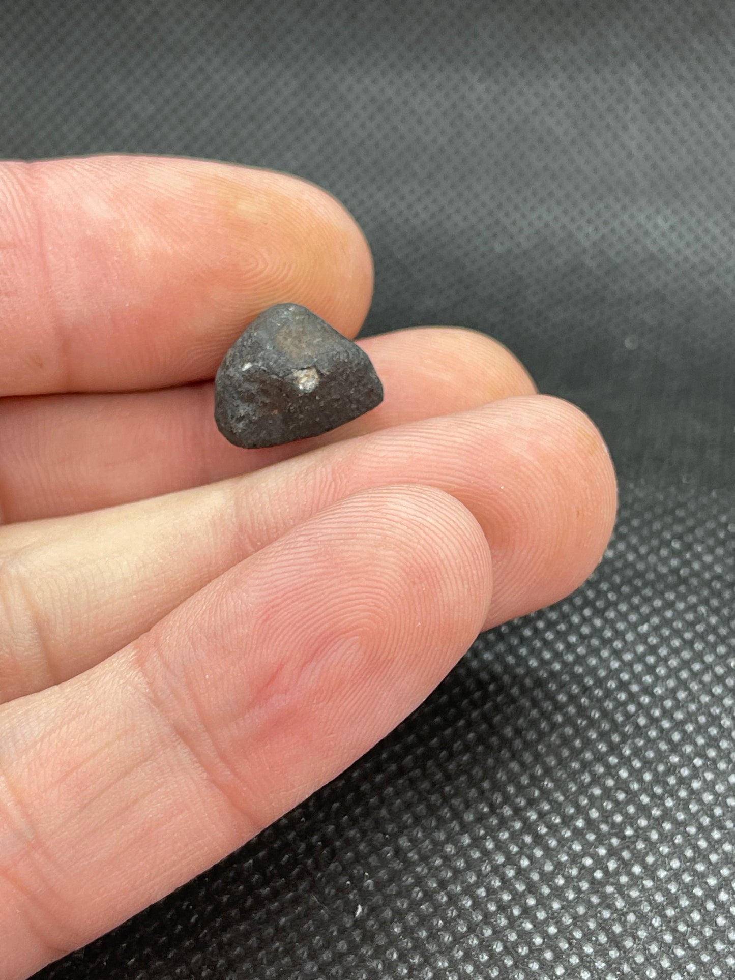 Witnessed Fall: Oued Sfayat